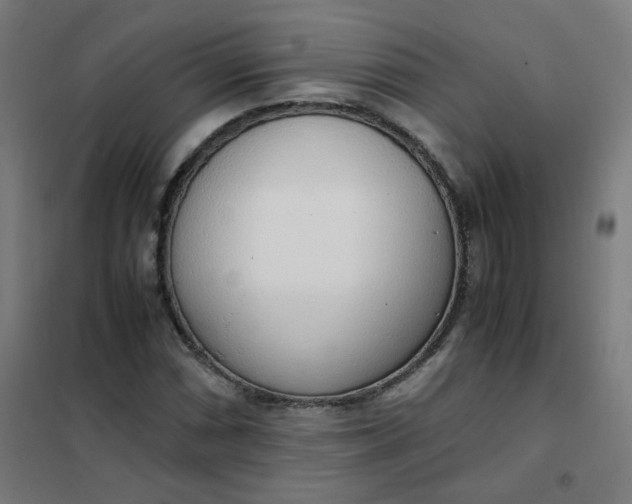 X0000101681066200807241340