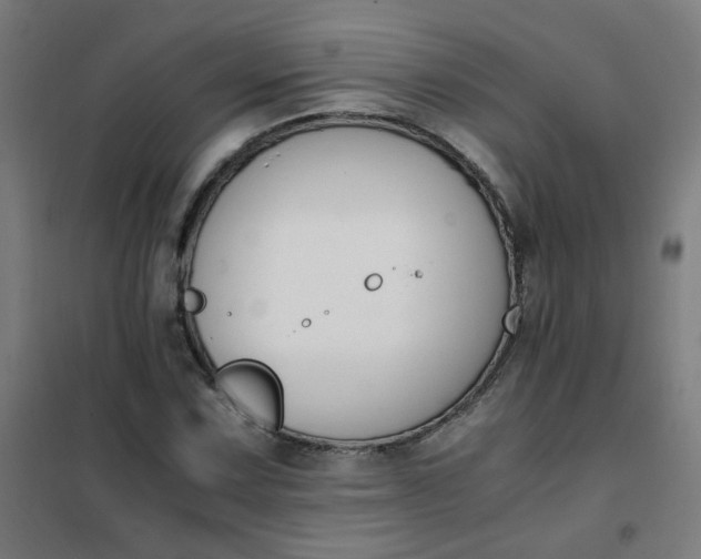 X0000101681067200807241340