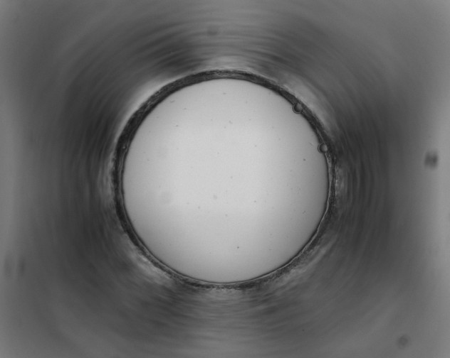 X0000101681068200807241340