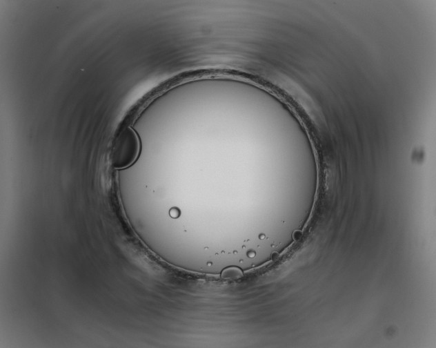 X0000101681069200807241340