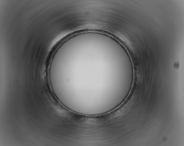 X0000101681070200807241340