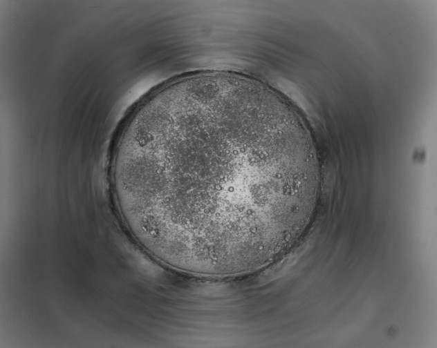 X0000101681071200807241340