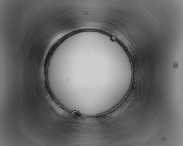 X0000101681072200807241340