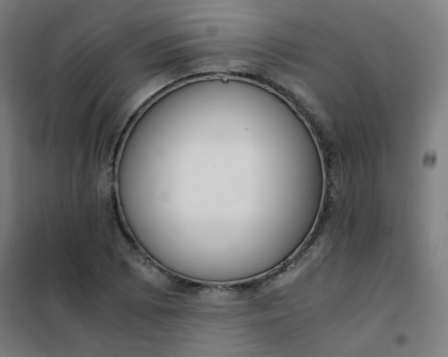 X0000101681073200807241340