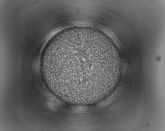 X0000101681074200807241340