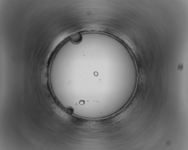 X0000101681075200807241340