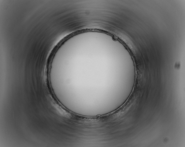 X0000101681076200807241340