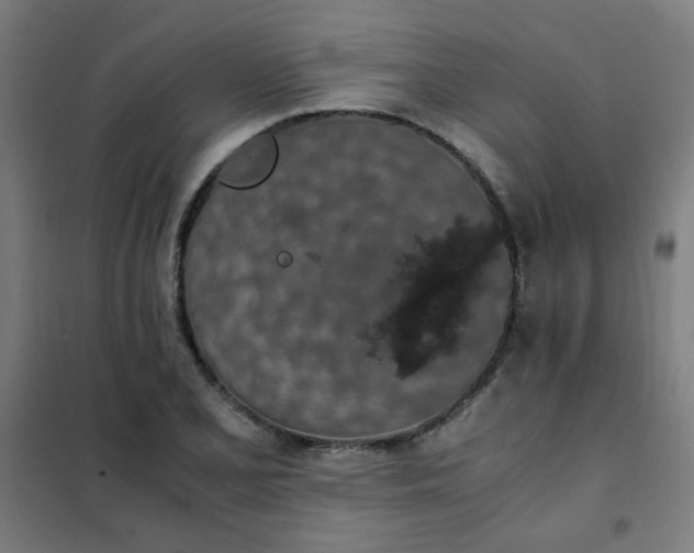 X0000101681077200807241340