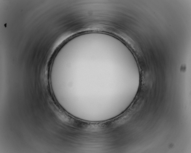 X0000101681078200807241340