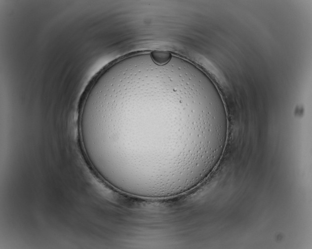 X0000101681079200807241340