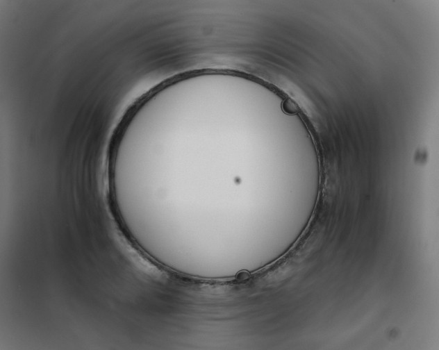 X0000101681080200807241340