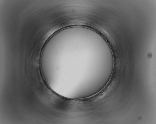 X0000101681081200807241340