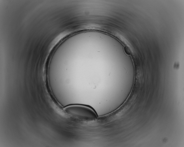 X0000101681082200807241340