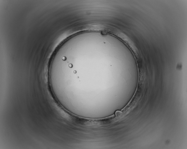 X0000101681083200807241340