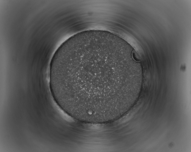 X0000101681084200807241340