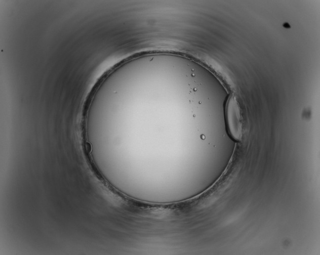 X0000101681085200807241340