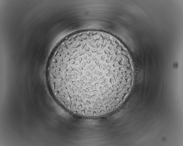 X0000101681086200807241340