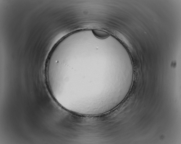 X0000101681087200807241340