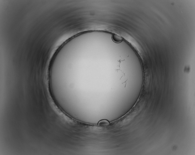 X0000101681088200807241340