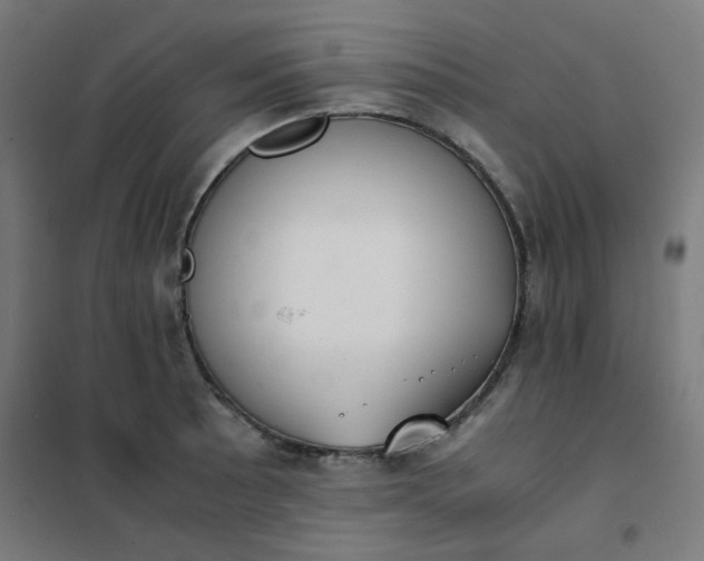 X0000101681089200807241340