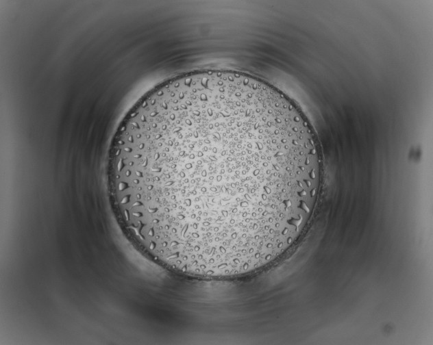 X0000101681090200807241340