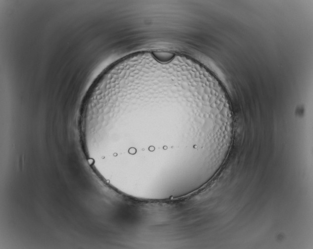 X0000101681091200807241340