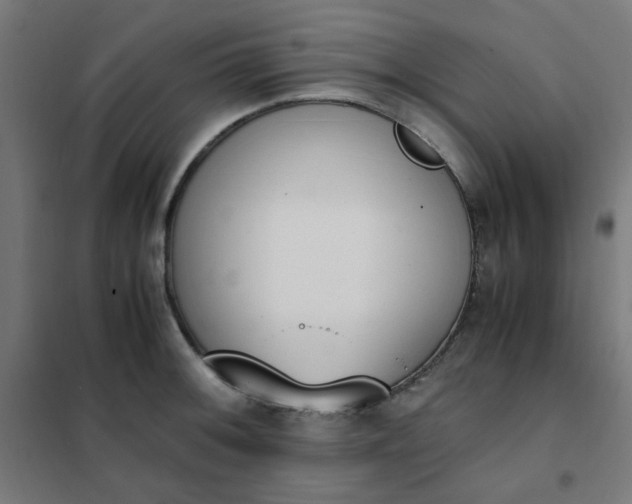 X0000101681092200807241340