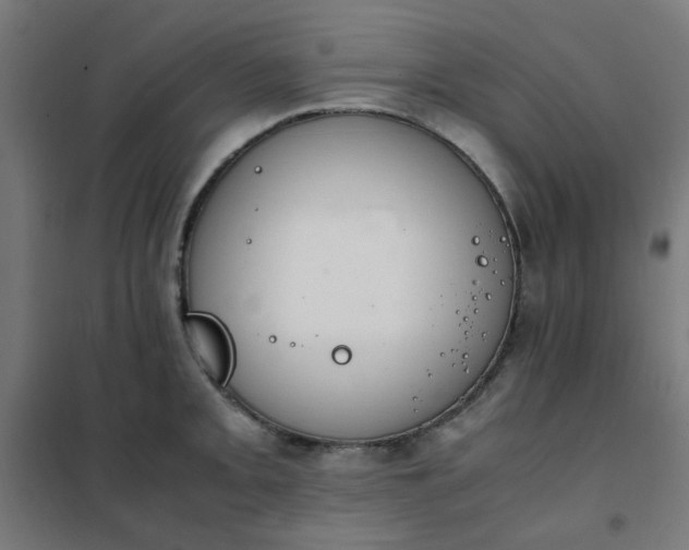 X0000101681093200807241340