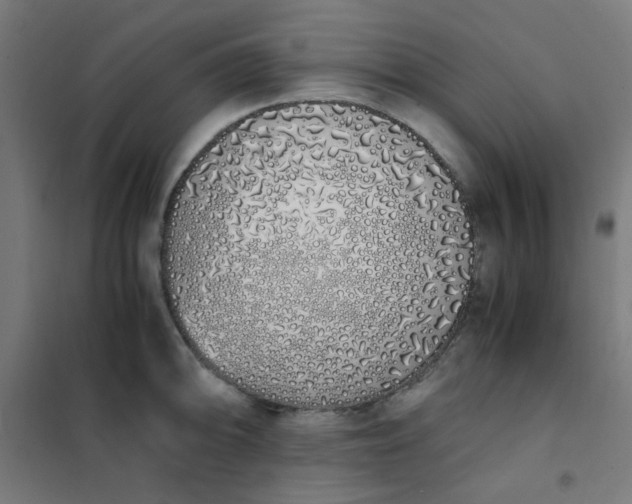 X0000101681094200807241340