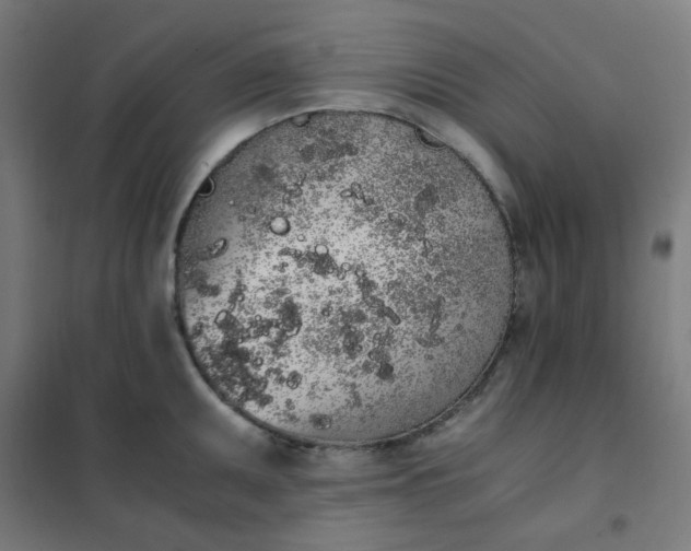 X0000101681095200807241340