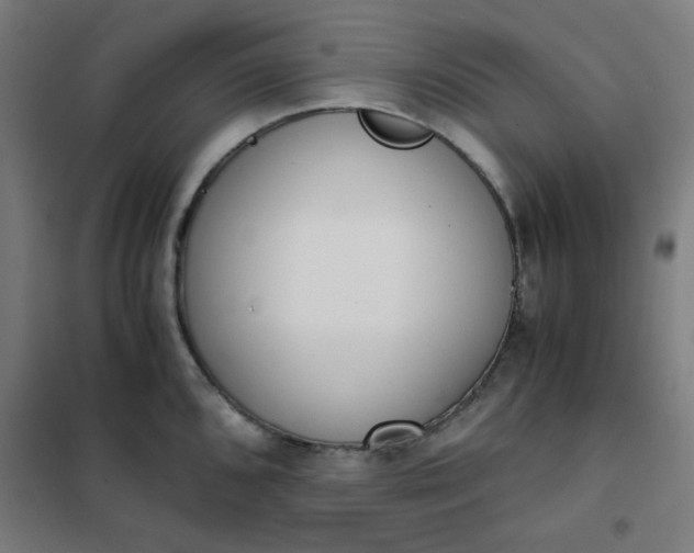 X0000101681096200807241340