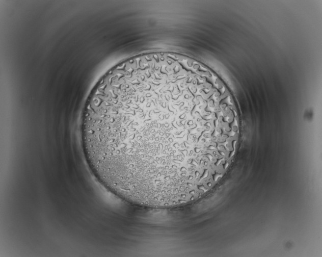 X0000101681098200807241340