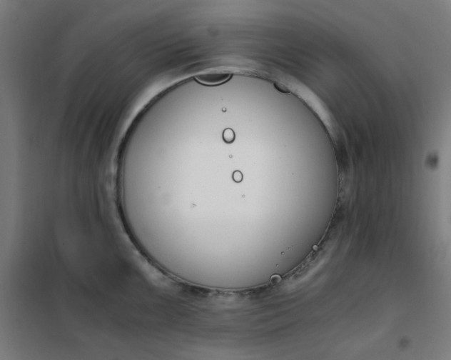 X0000101681099200807241339