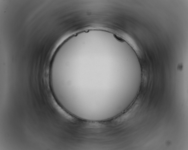 X0000101681100200807241339