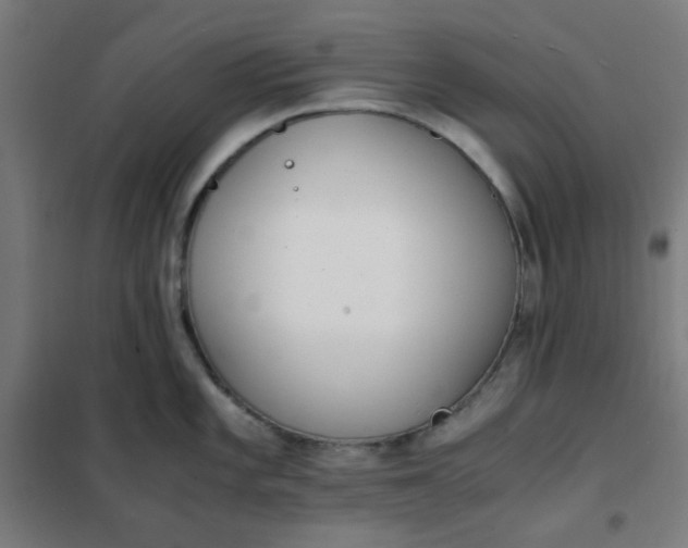 X0000101681101200807241339