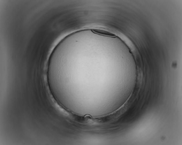 X0000101681102200807241339