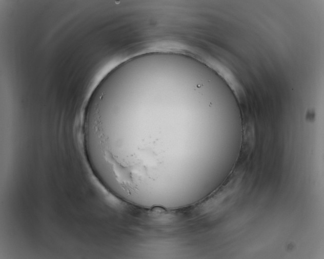 X0000101681103200807241339