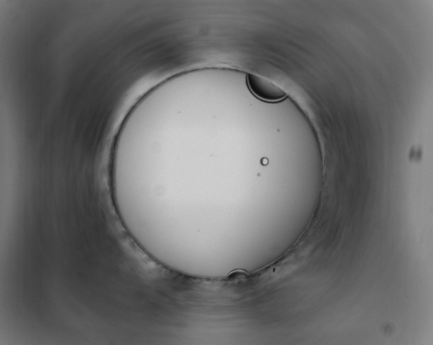 X0000101681104200807241339