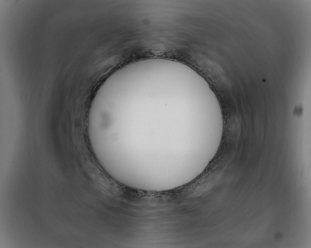 X0000101681105200807241339