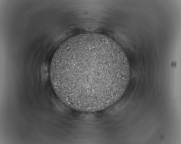 X0000101681106200807241339