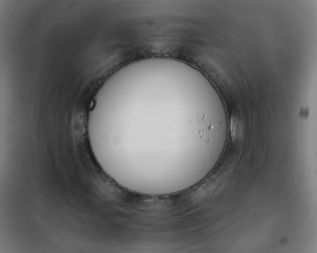 X0000101681107200807241339