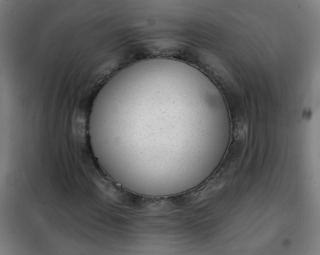 X0000101681108200807241339