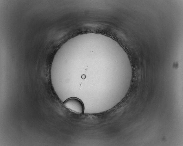 X0000101681109200807241339