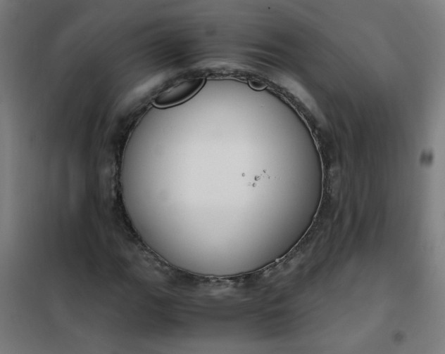 X0000101681111200807241339