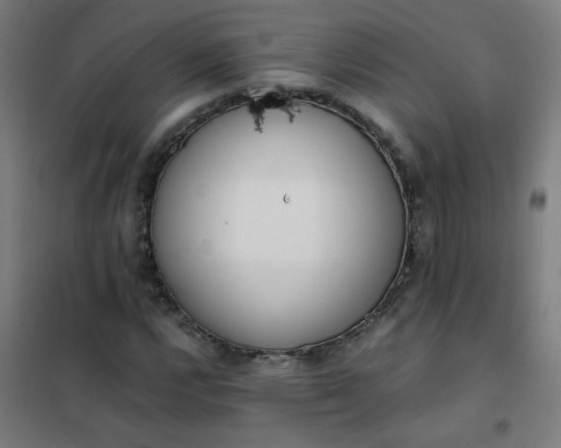 X0000101681112200807241339