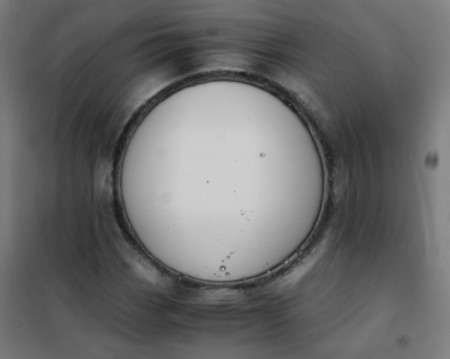 X0000101681113200807241339