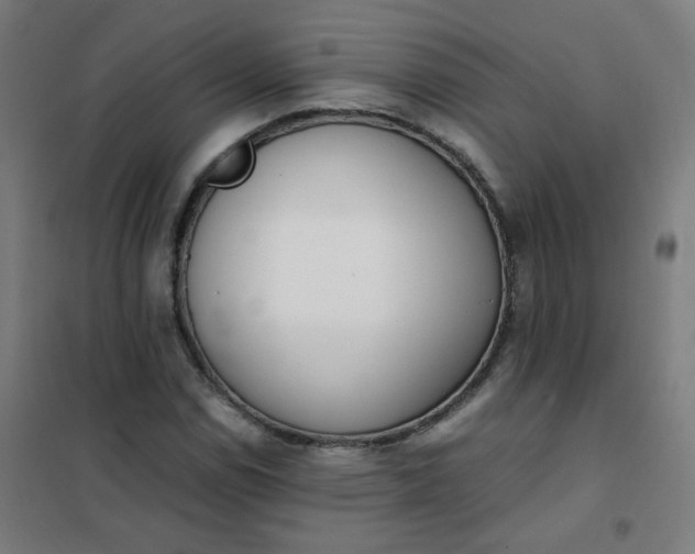 X0000101681114200807241339