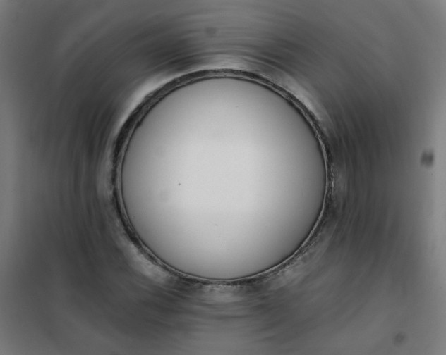 X0000101681116200807241339