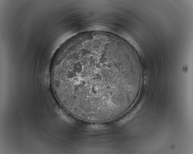 X0000101681117200807241339