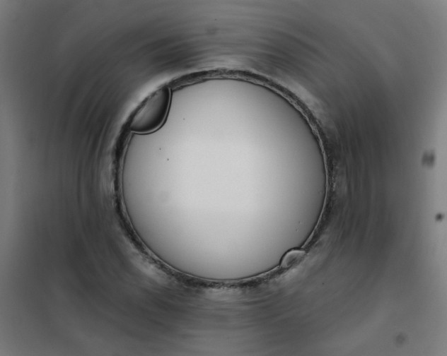 X0000101681118200807241339